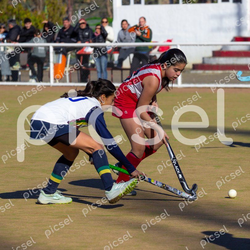 Photo of b6v3tub59y3e2bbxeza3yd0u