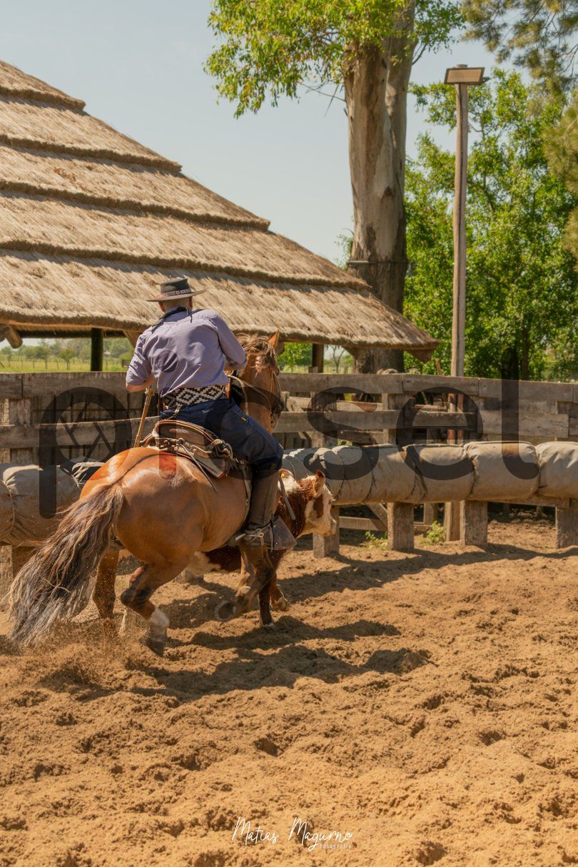 Photo of fzqw5lctl8jso4tivip6cbn1