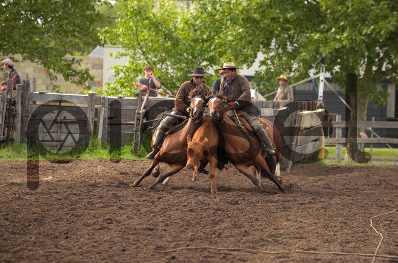 Photo of y3rf0dogh1lhw9hrmgakqoar