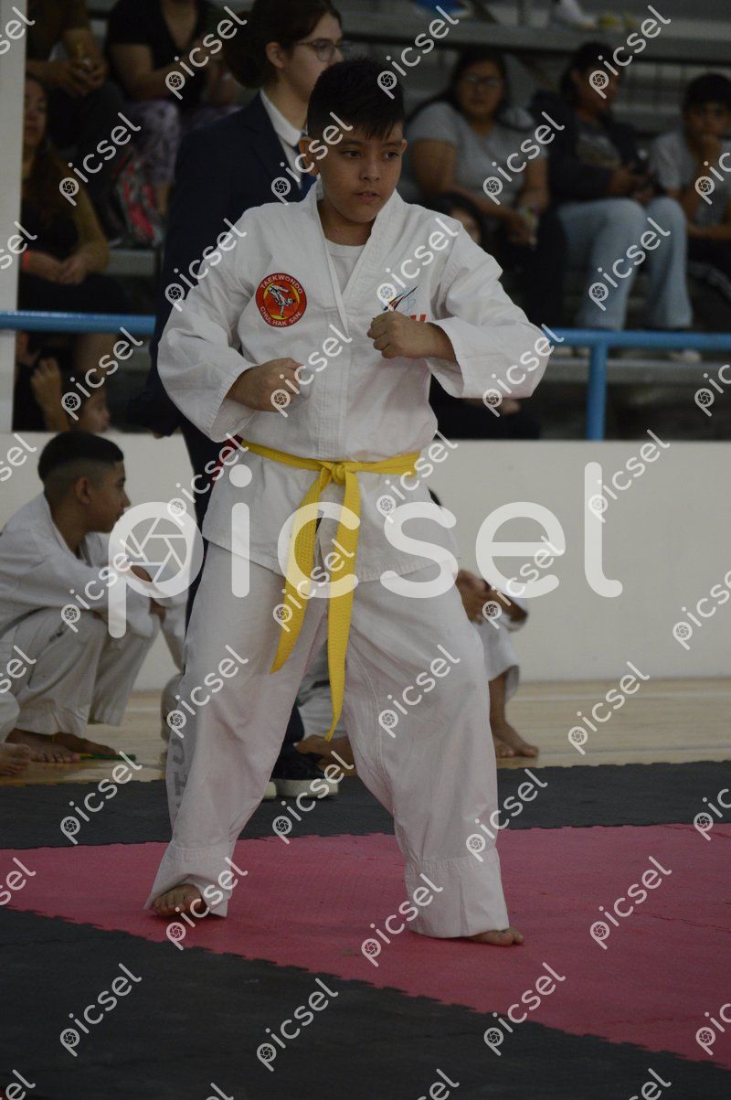 Photo of xbjr61aaahgybp6z0opbvzeb