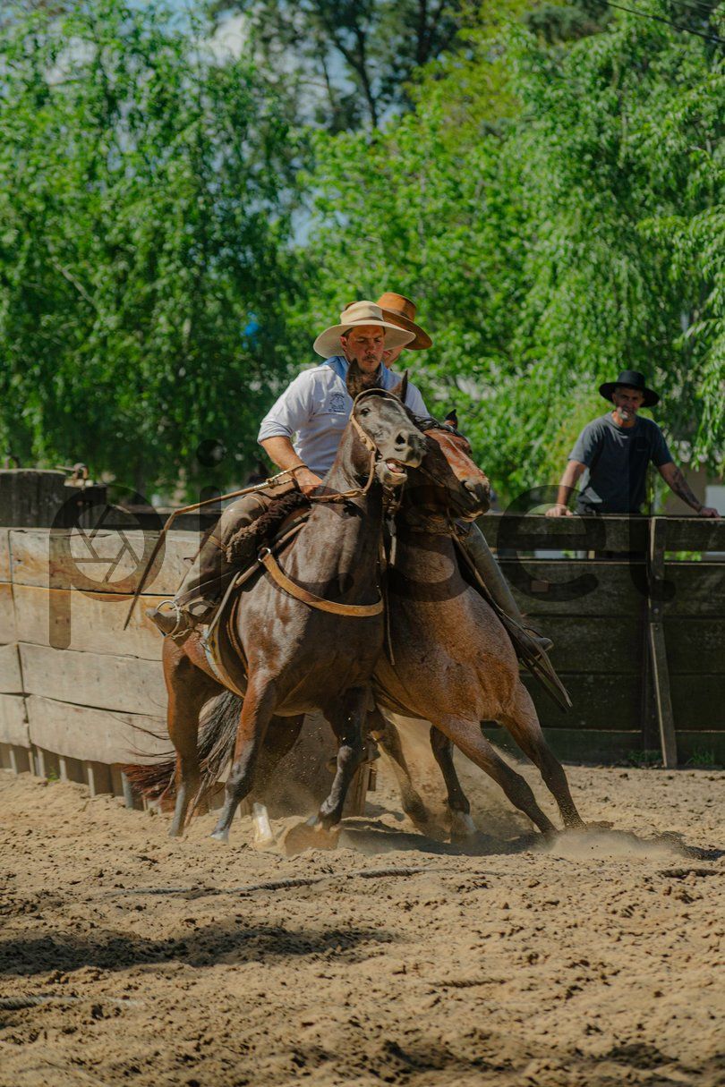 Photo of szcppi7cdla4f35efr9dkdpv