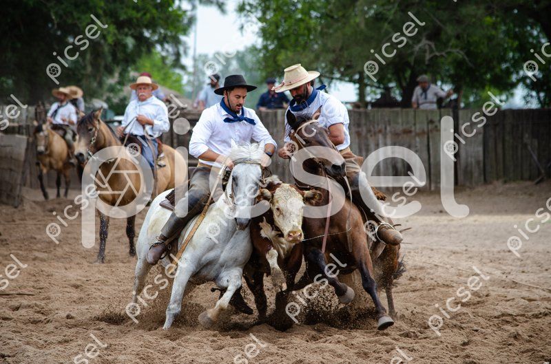 Photo of wd3v03fastx4mjagrfcjkyw5