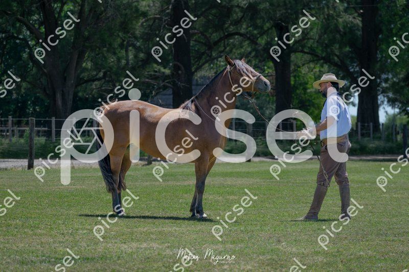 Photo of s7aa58qj64q7df5wk4zwbcb5