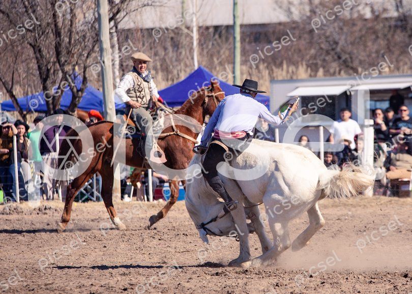 Photo of ekt72r3w3jr7dc0lxtuaacsl