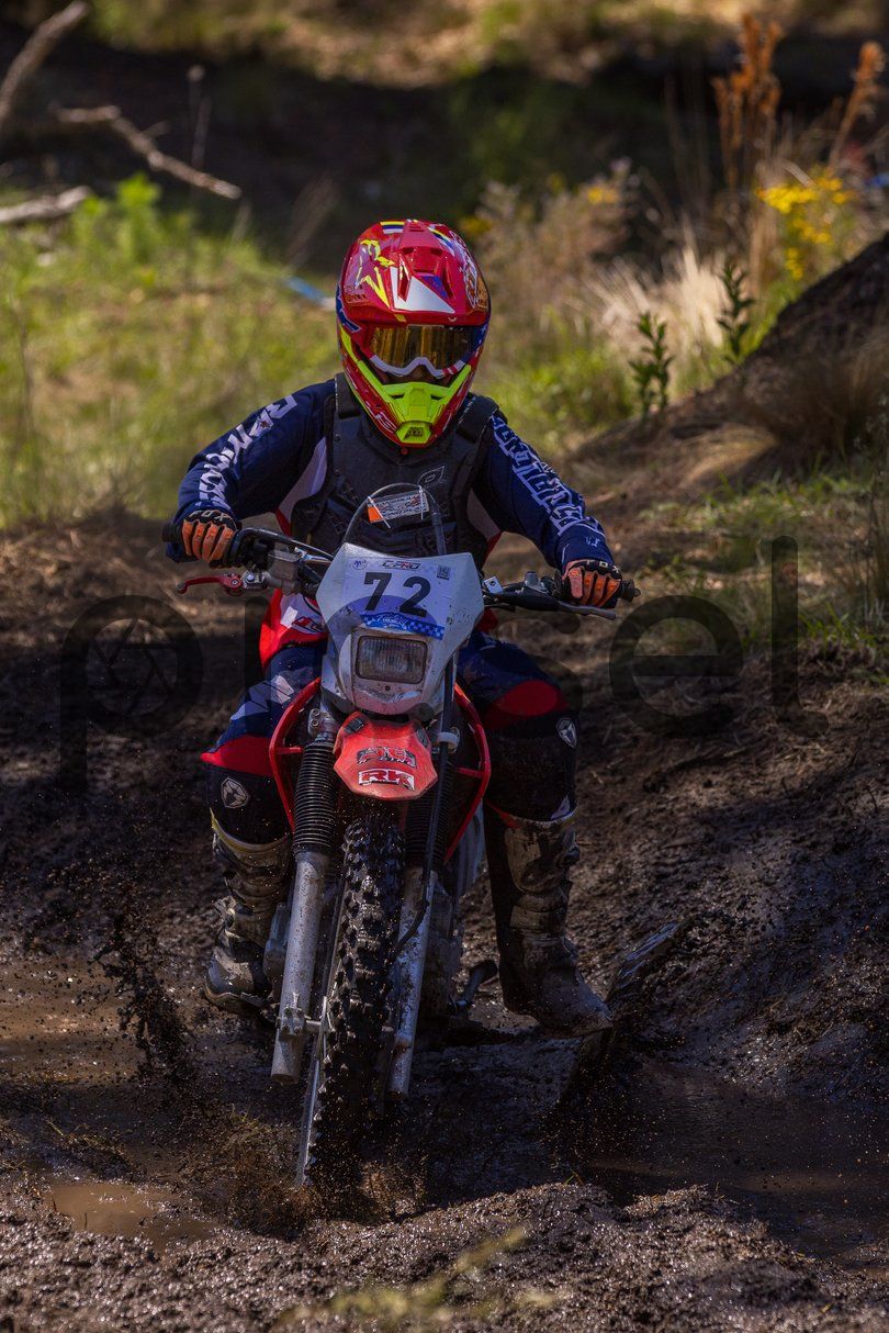 Photo of wai2wlg8atb6g2tutve5gdnb