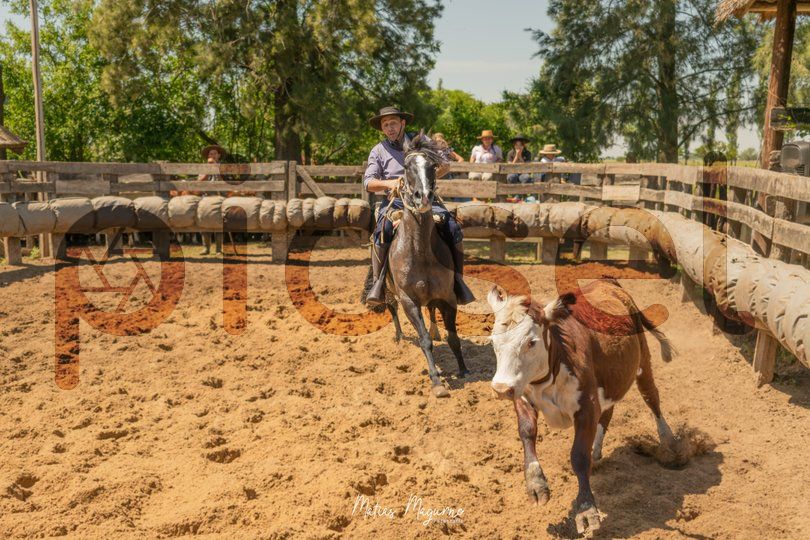 Photo of txcehzq4dhvjsmcgyfqd17dv