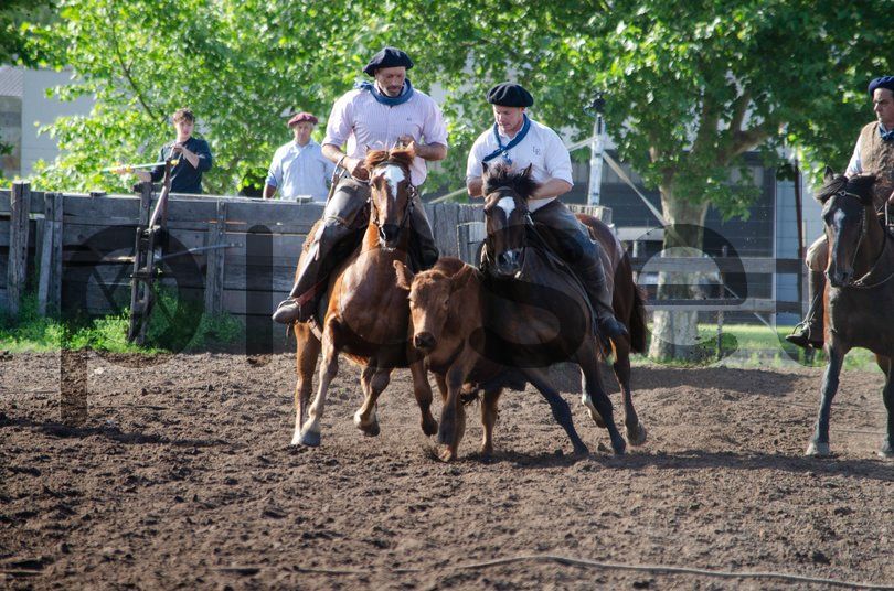 Photo of ctnbaip9afl5emzb609qy8hk