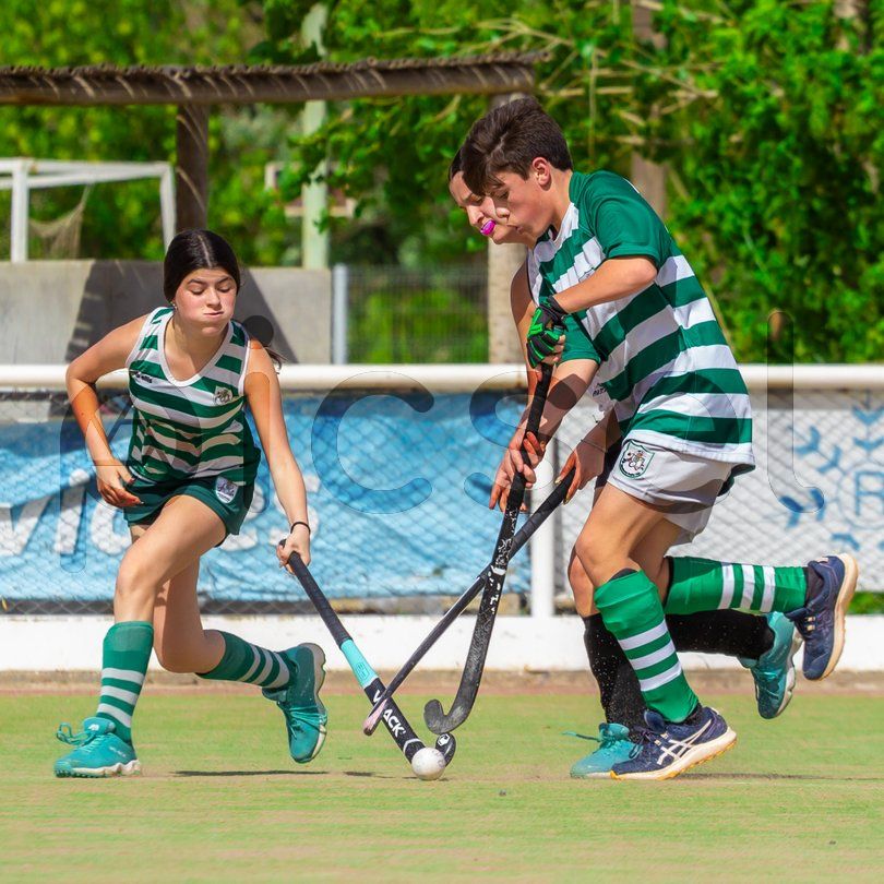 Photo of p0qwmg56aftcm8agzbrhzz2v