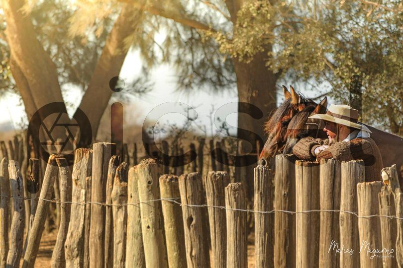 Photo of tva0ux7cx029hj3nrv00q4z8