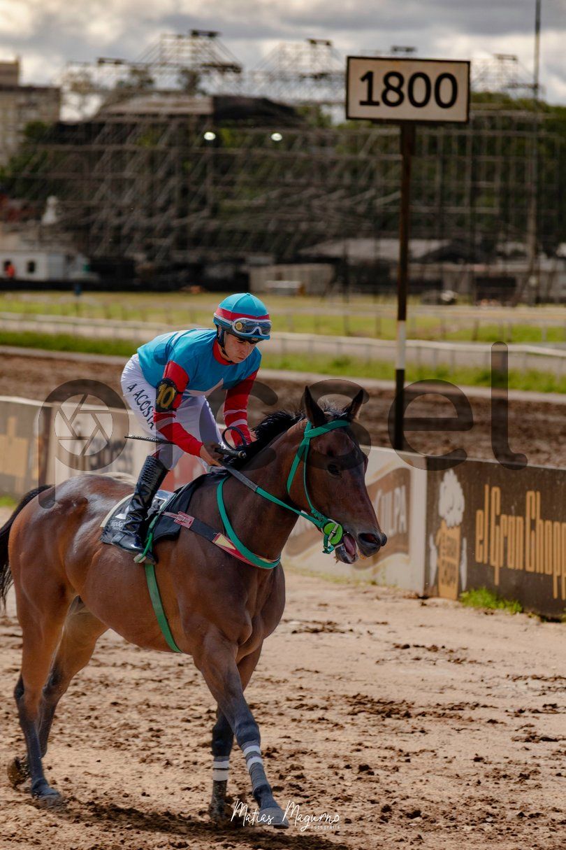 Photo of w9jpp3vy4enky508a2h6t8v3