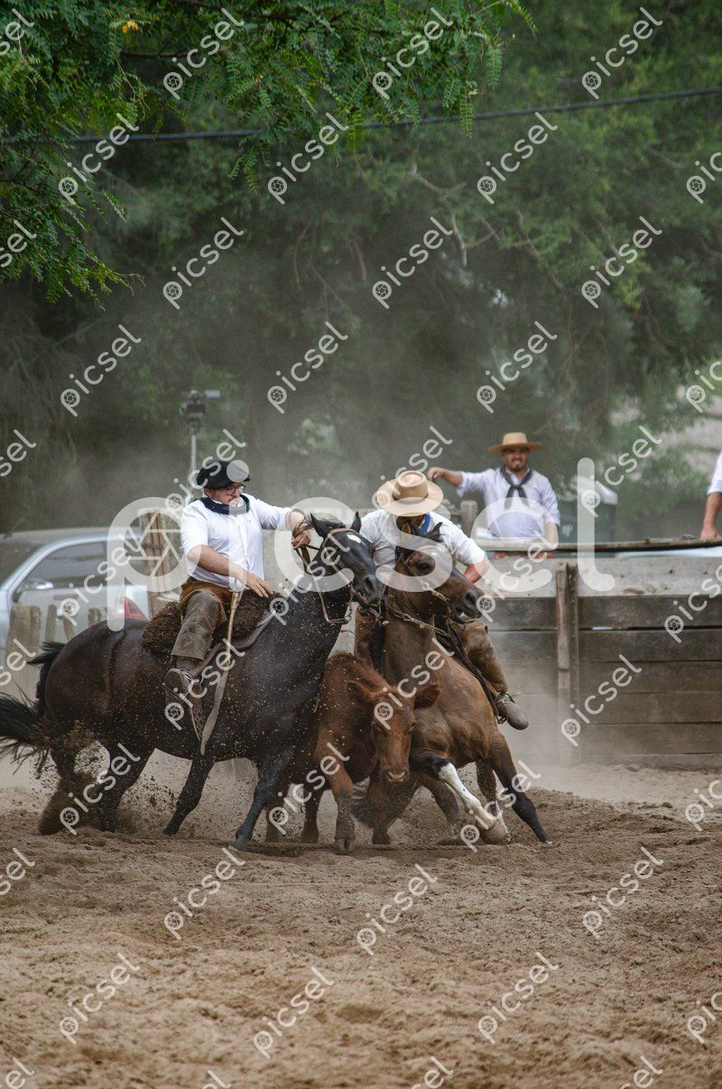 Photo of bsnpnp4myqtvm4jdf60nco6v