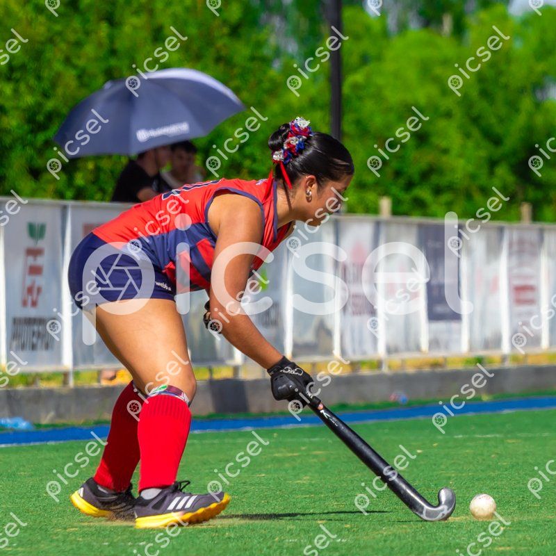 Photo of xwelxyu8yq0mboij8chxfqdx