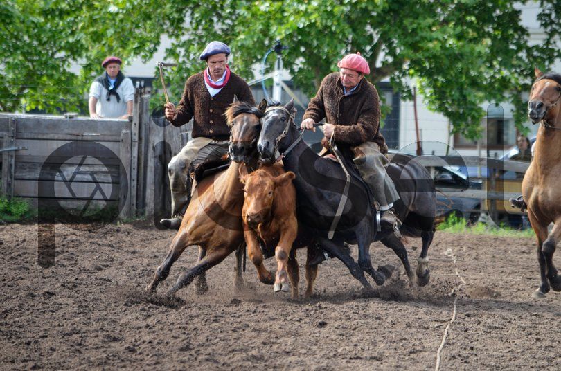 Photo of g5ktdkvawlzdcndlcnwt8crd