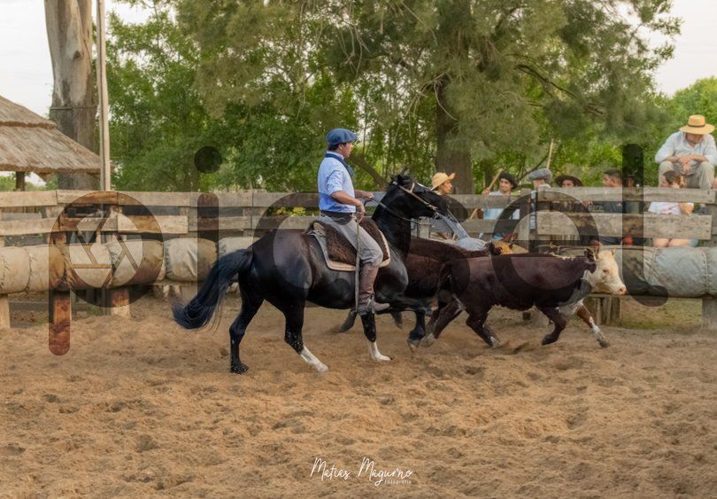 Photo of ctdwg7o7bh4lv2yy9ffm6p9h