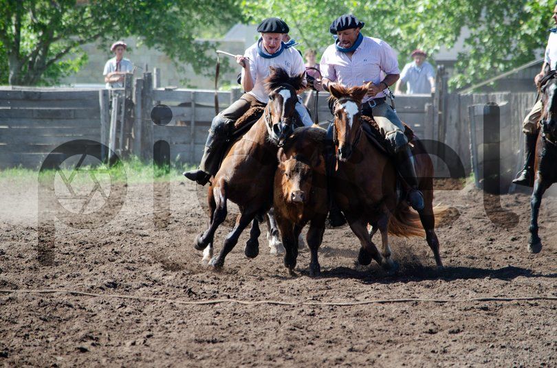 Photo of pk56tkwpuzdqfewmpdmg1y2p