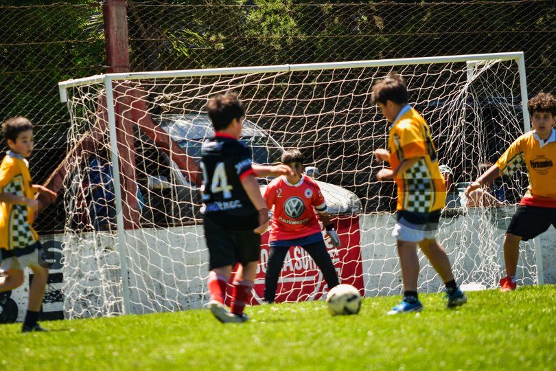 Photo of w9xo38vqpuoj5r7tnvz1r5m7