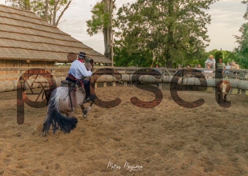 Photo of oyx1hl91a51kxqxl32paz85e