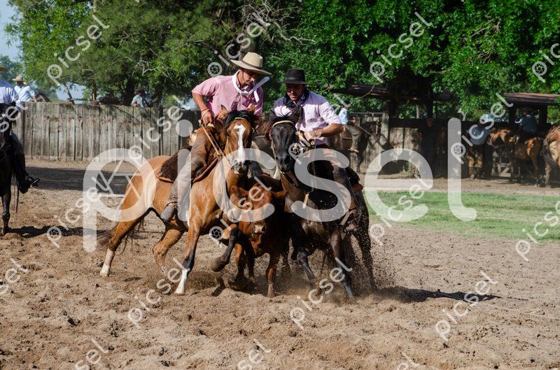 Photo of x21fcz40witpeb5elgqcf7qe