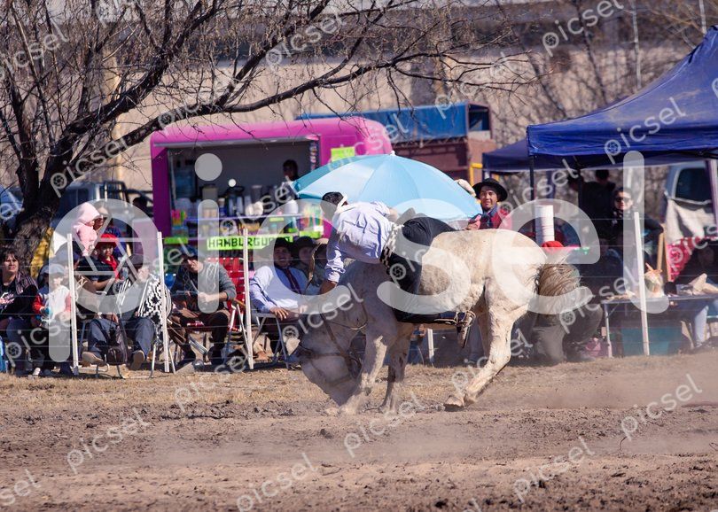 Photo of rfejeu3my9whcf1mculrcc8i