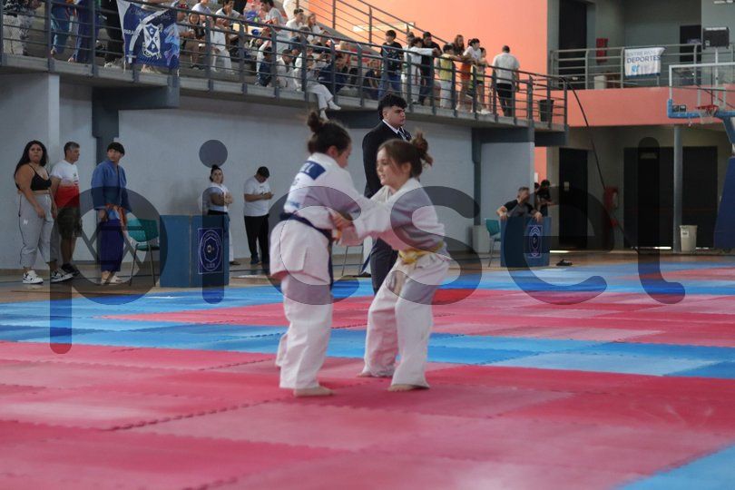 Photo of uq0zvm4obhhff7sert03hqjw