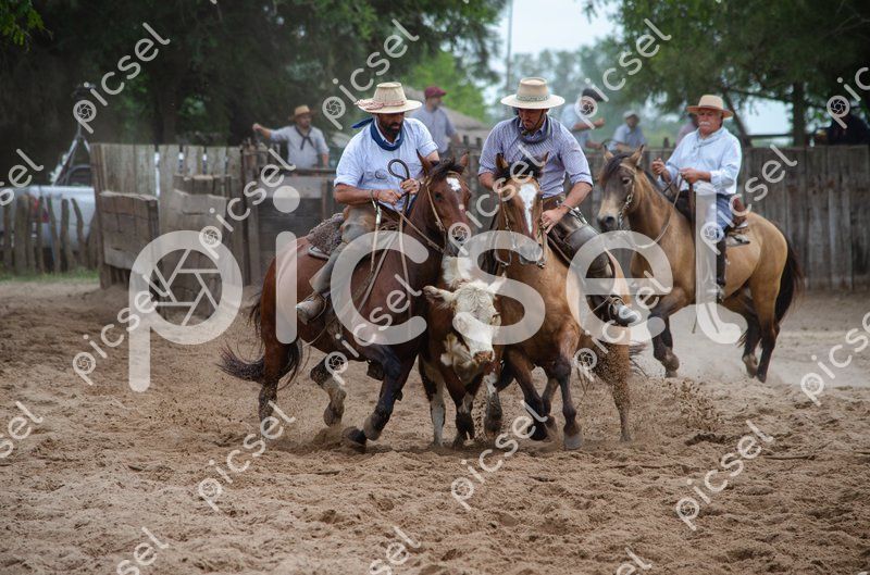 Photo of kylgcxqfqfe5bxmo8a186xa1