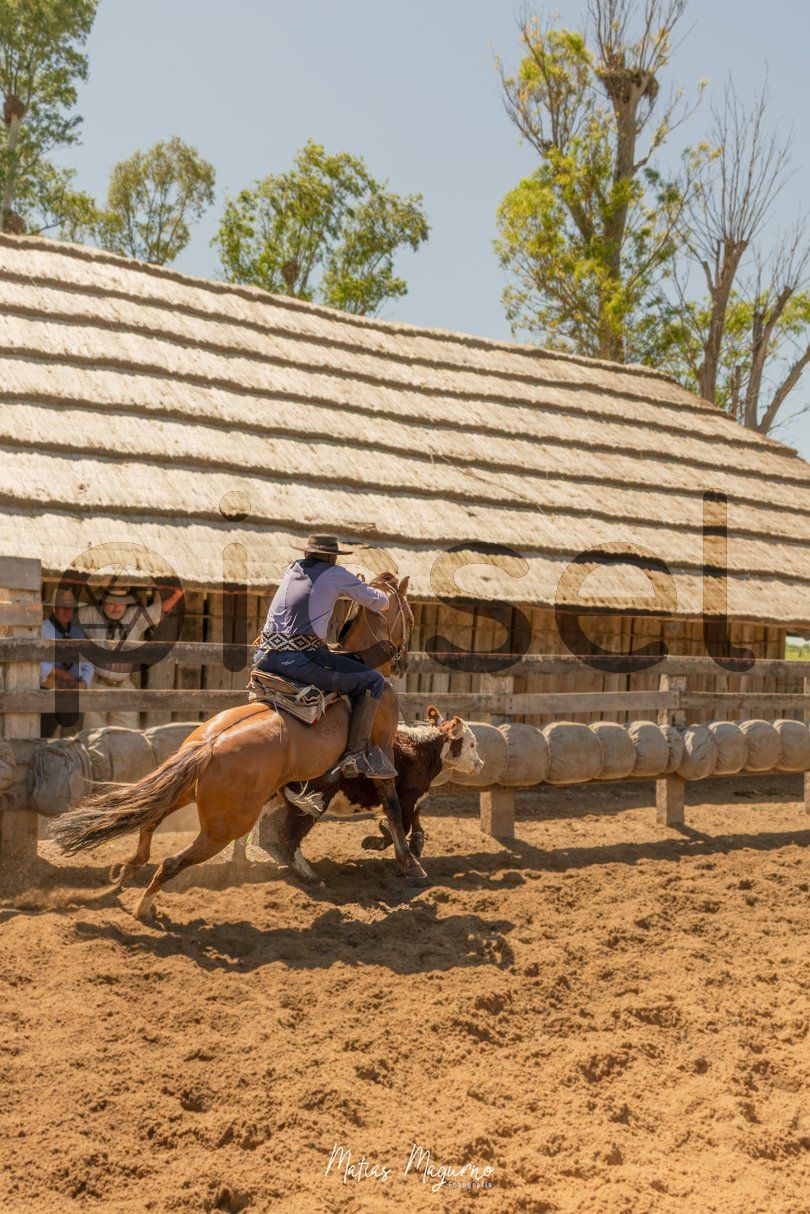 Photo of pkrz6fn11b40rv92nnat6tk4