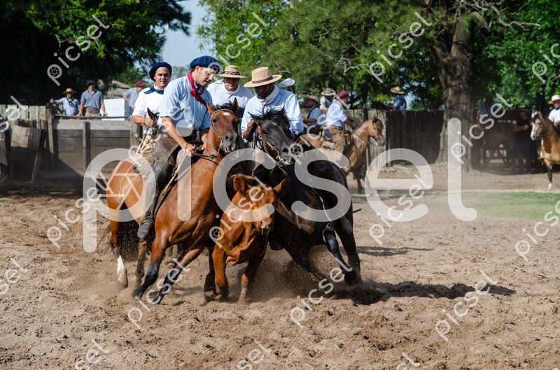 Photo of fwle5l8gkd7hnruvqqwql2kd