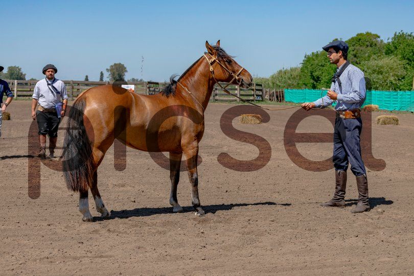 Photo of k9dchqcyj4j0okwhrrjexodd