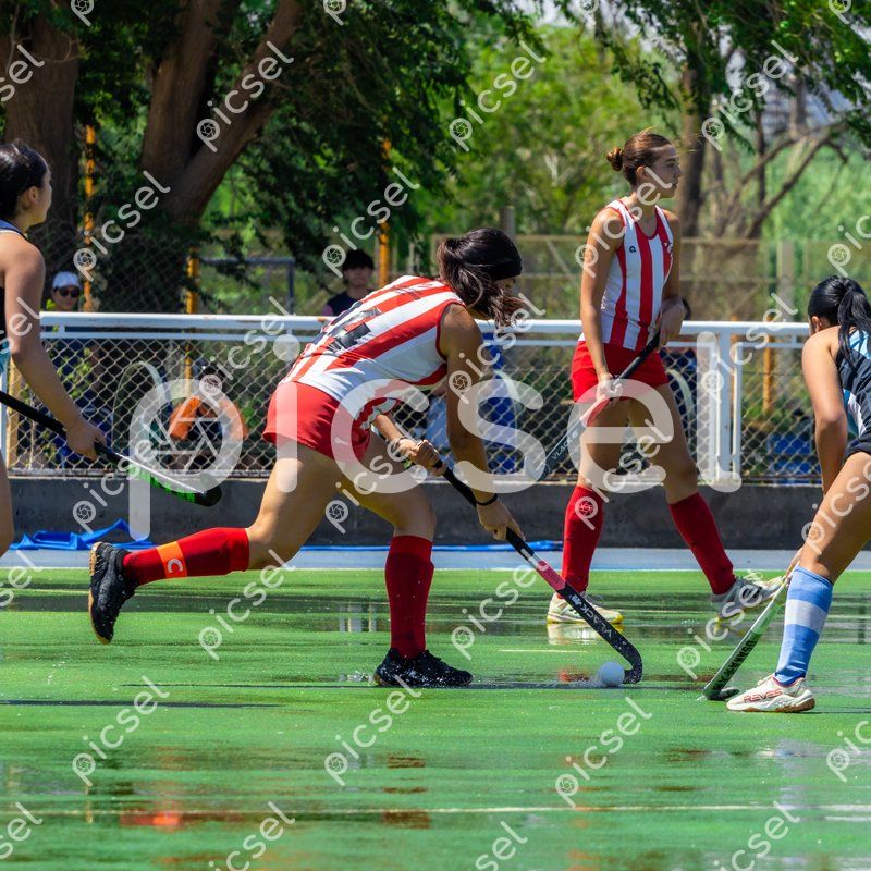 Photo of f9ziz2fw0sv5hviktz3ffii2