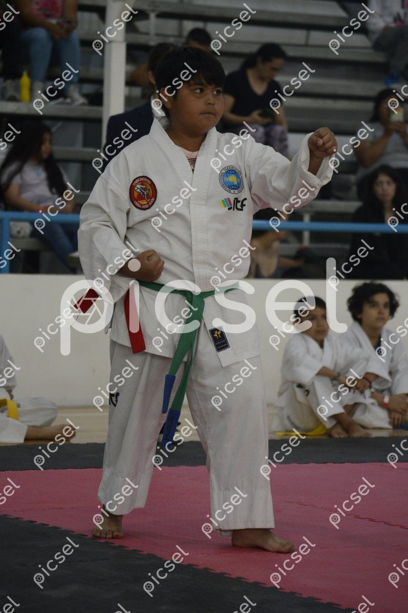 Photo of qt707mu9we4lpwm9r8wquofg