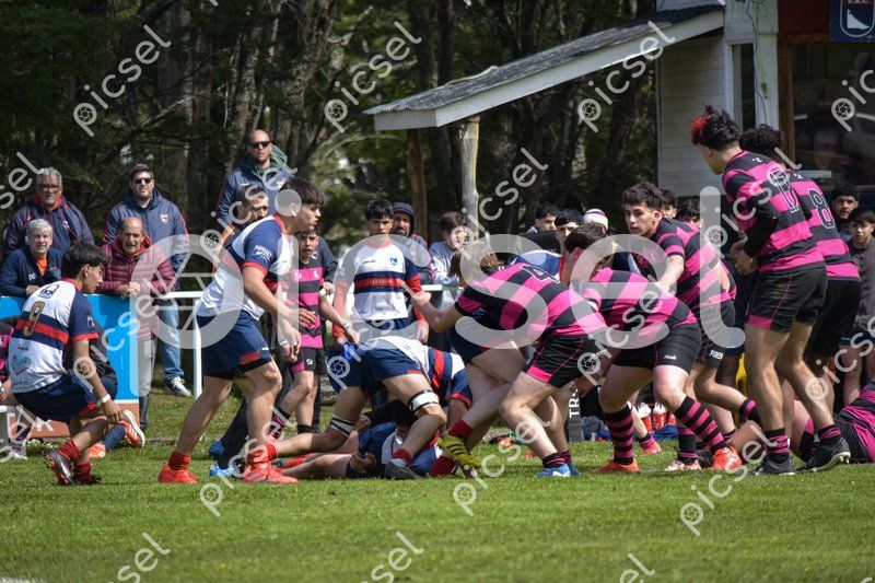 Photo of qkr5h3ahyznbkzggbri8ckj8