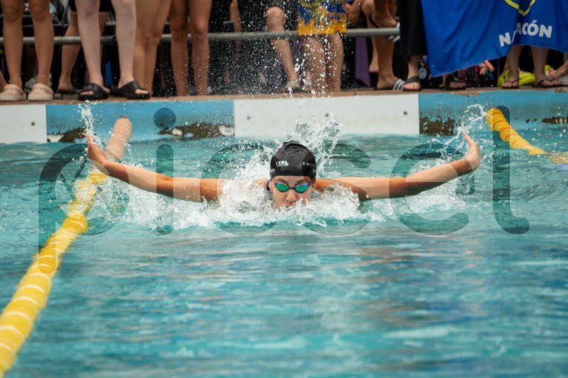 Photo of m6bkwvmbraqe02mx1qm9zwx8