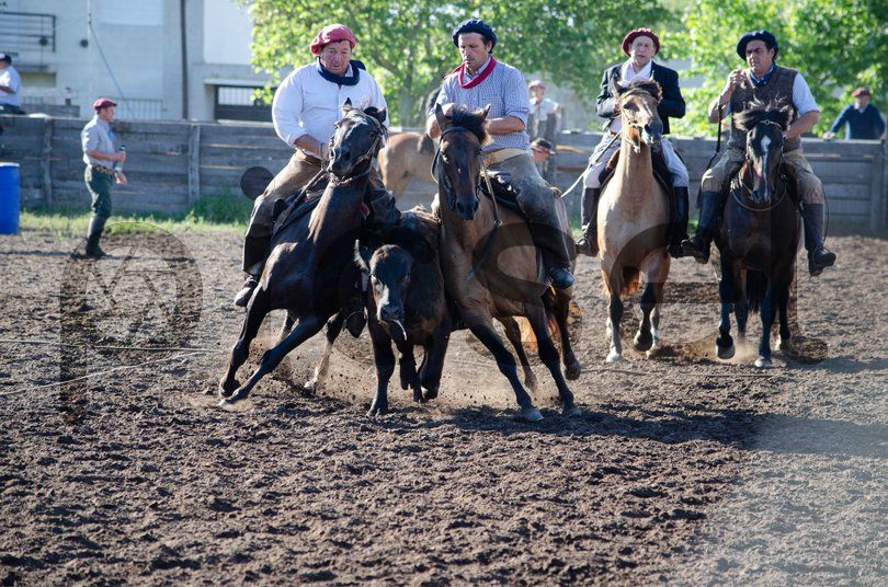 Photo of o02vdik9jz3x17hl79jszeqw