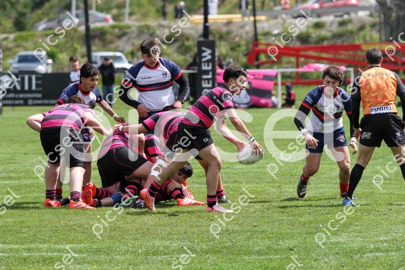 Photo of guqlca7zh0dfwd8osry84e0d