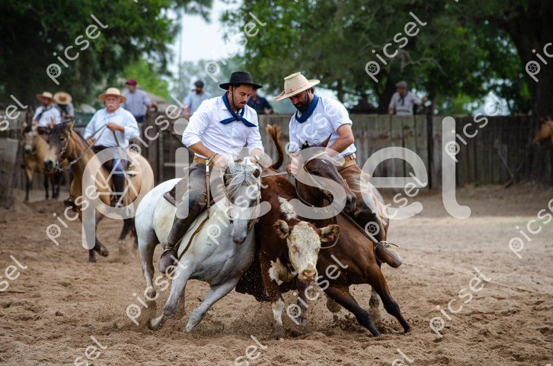 Photo of r407bhhd0m9pxcm3dzjs0zm1