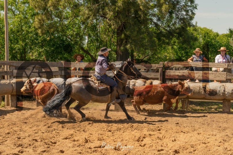 Photo of fvkwzlfare99dj2flzxscixx