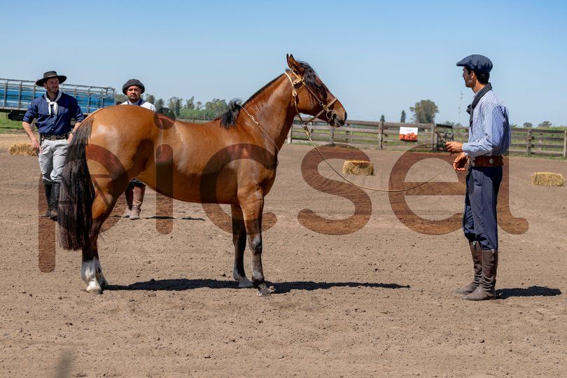 Photo of fq69hs3ny0nz8mztje50ab39