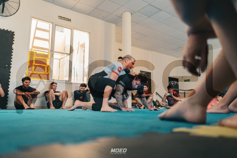 Photo of agp2ymnvkraw503xkpz5y3fv