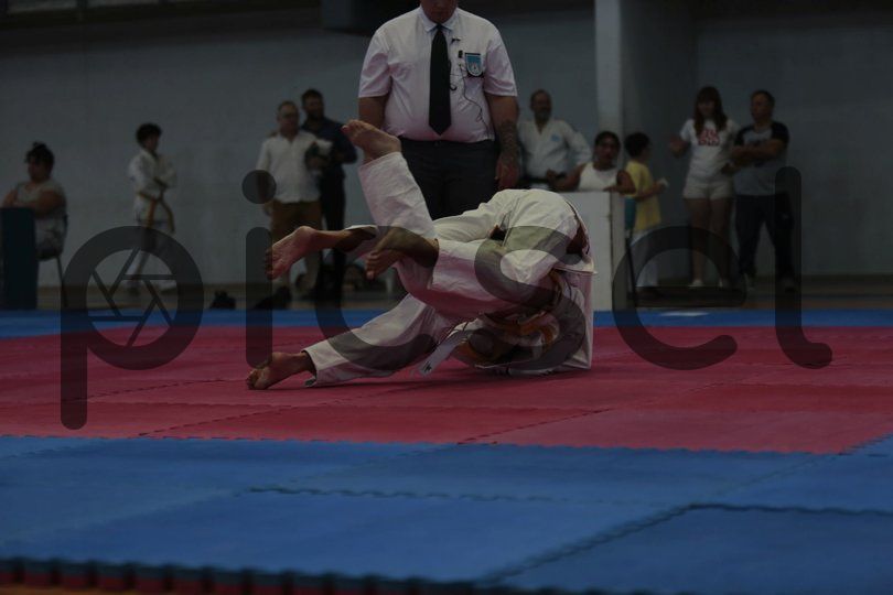 Photo of sh06tf5crlui5e583tirzxw5