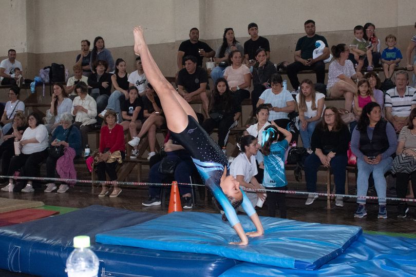 25-11-08 Turno 14.30am Torneo G Artística SER