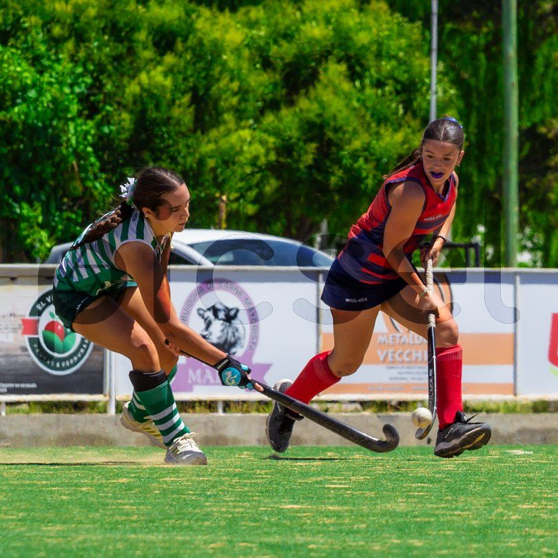 Photo of oympevpblf0ftn216pntxflh