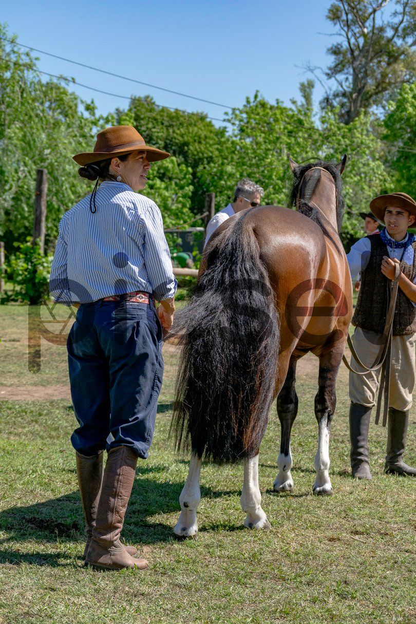 Photo of km06rbm9okbdwfdx7teuyrop