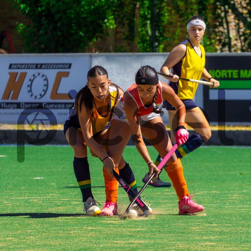 Photo of x8ihhbpe5mg9g5qnbsc06mfh