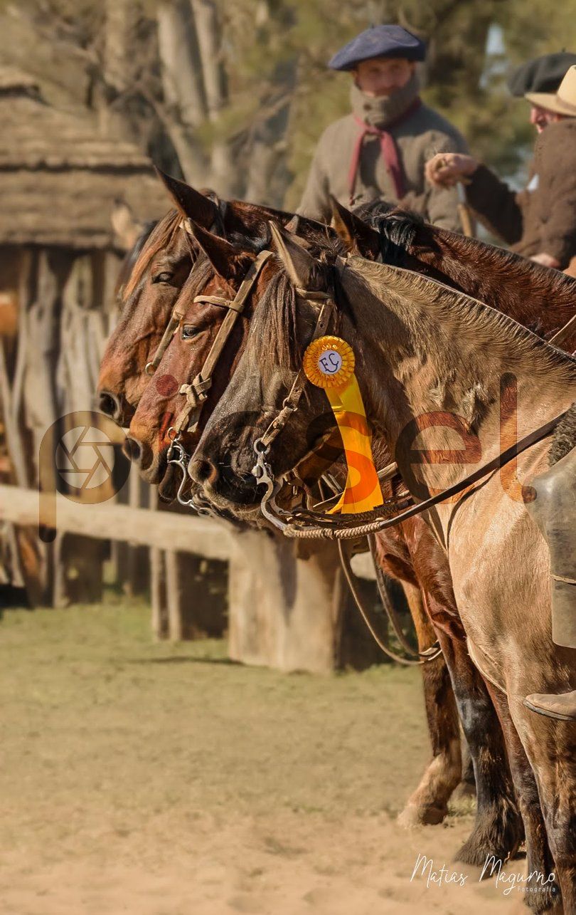 Photo of c8zyjl5oiaj6yabwf2tsdgse