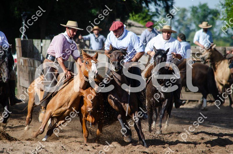 Photo of xng369as895778p0wppl6uxq