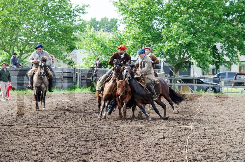 Photo of p8bwangzfobzm1eayqnwea3a