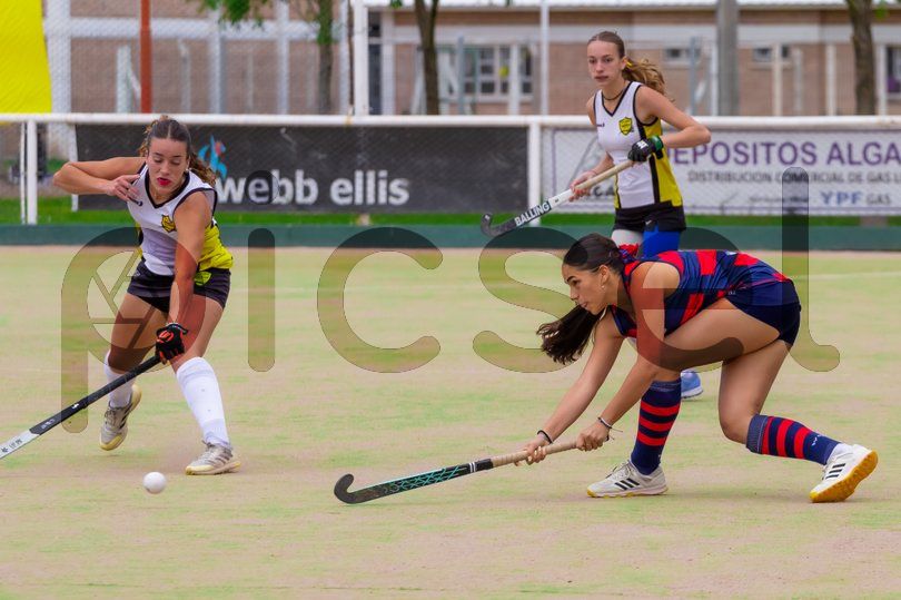 Photo of z5peffqf8t5s9hijppskze6l