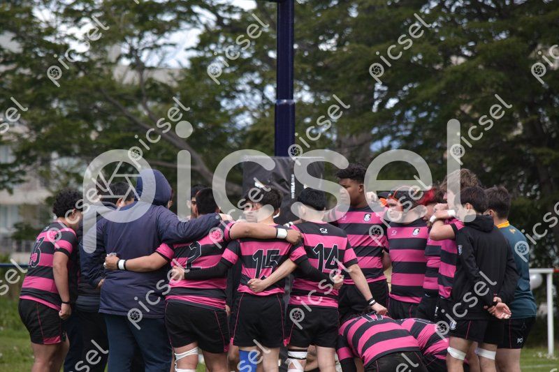 Photo of mb8y4mlk4j9mdksil72zcm59