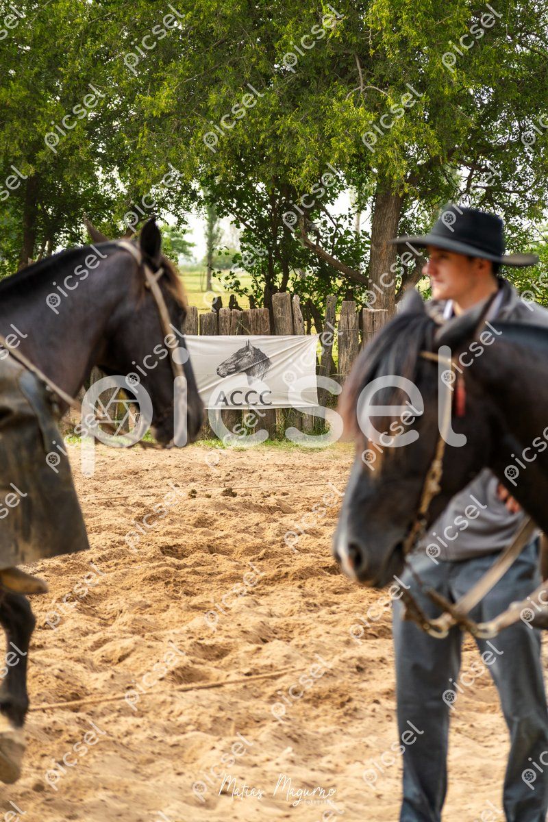 Photo of z3slibbynb5b1sc6mya8ceo0