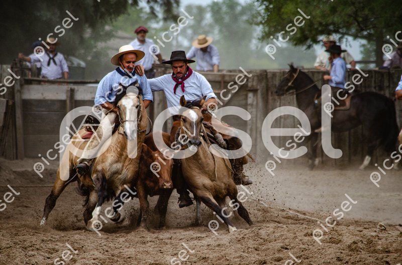 Photo of u6f9xjldehu2gcq0yp9zgbi6